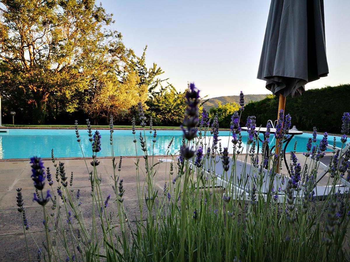 Agriturismo Grecinella Casole dʼElsa Εξωτερικό φωτογραφία