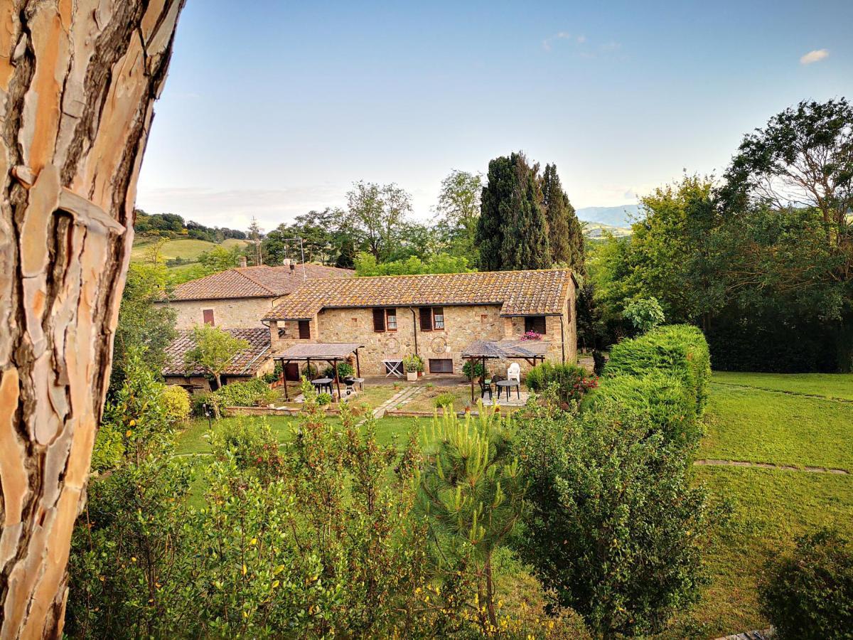 Agriturismo Grecinella Casole dʼElsa Εξωτερικό φωτογραφία
