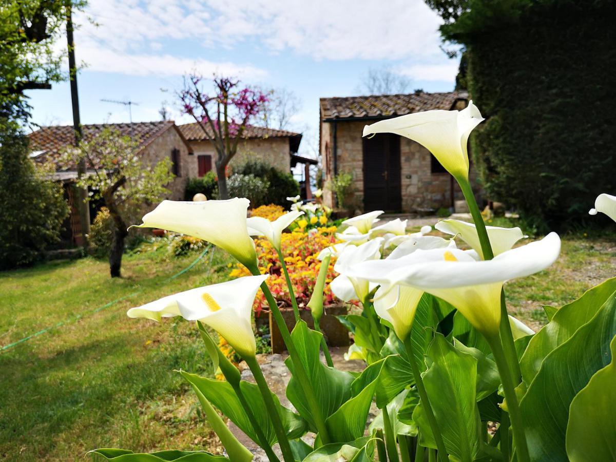 Agriturismo Grecinella Casole dʼElsa Εξωτερικό φωτογραφία